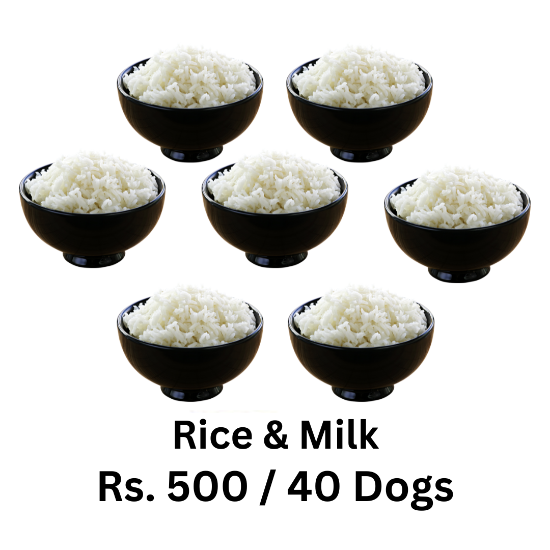 Rice & Milk